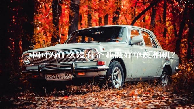 中国为什么没有企业做好单反相机？