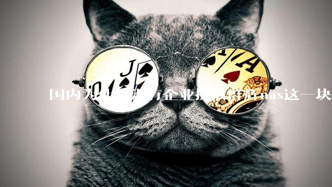 国内为什么没有企业挑战群辉nas这一块市场？