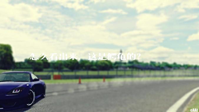 怎么看出来，这是鳄龟的？