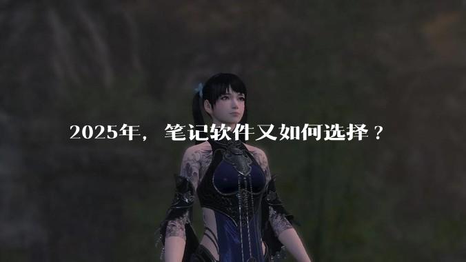 2025年，笔记软件又如何选择?