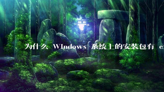 为什么 Windows 系统上的安装包有 exe 和 msi 两种格式，有什么区别？
